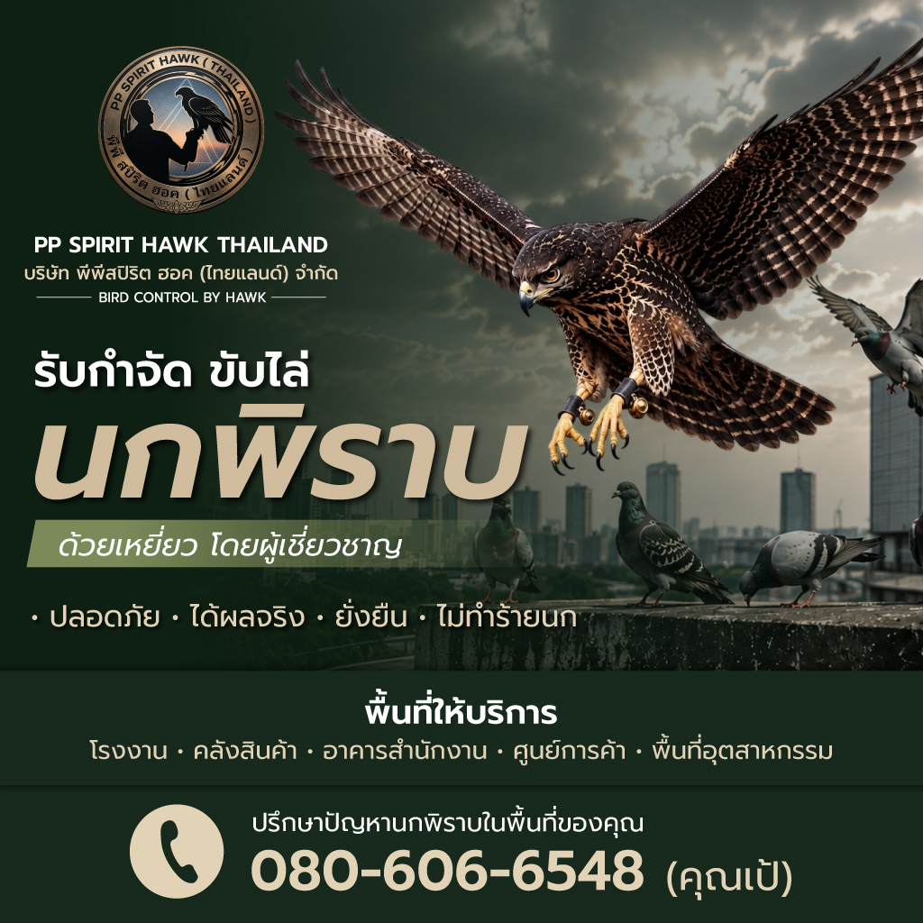 บริการไล่นกพิราบด้วยเหยี่ยวจริง-ชลบุรี_0