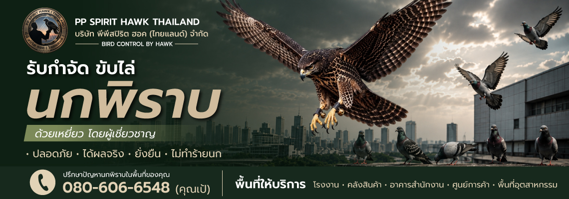 บริการไล่นกพิราบด้วยเหยี่ยวจริง ชลบุรี