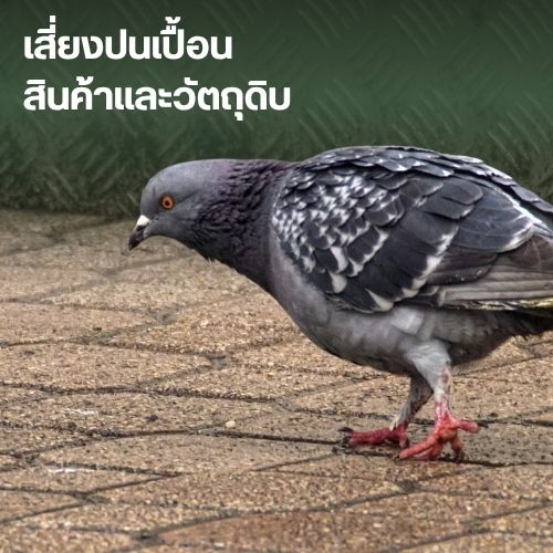 เสี่ยงปนเปื้อนสินค้าและวัตถุดิบ