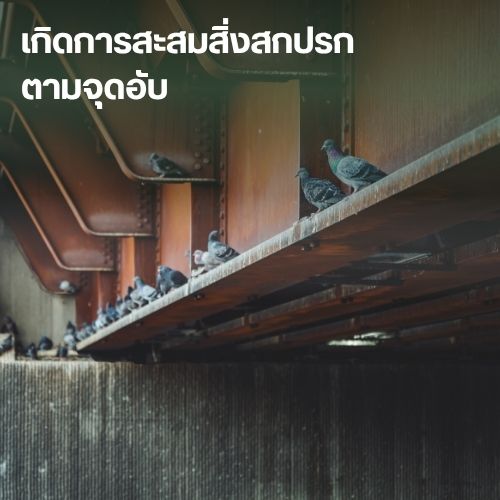 เกิดการสะสมสิ่งสกปรกตามจุดอับ