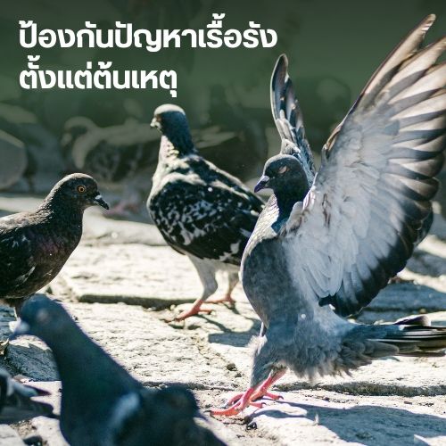 ป้องกันปัญหาเรื้อรังตั้งแต่ต้นเหตุ